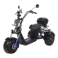 Электроскутер CityCoco SKYBOARD BR40-3000 OFF-ROAD Trike